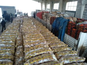 Telabyad’a 80 Ton Yaş Sebze-Meyve Ulaştırıldı