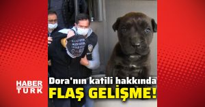 Yavru köpeğe yönelik dehşette flaş gelişme!